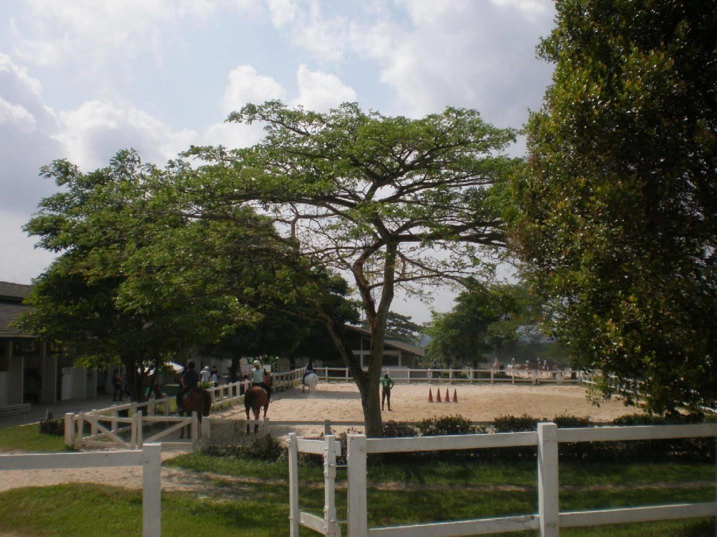 Riders Resort Kulai Extérieur photo